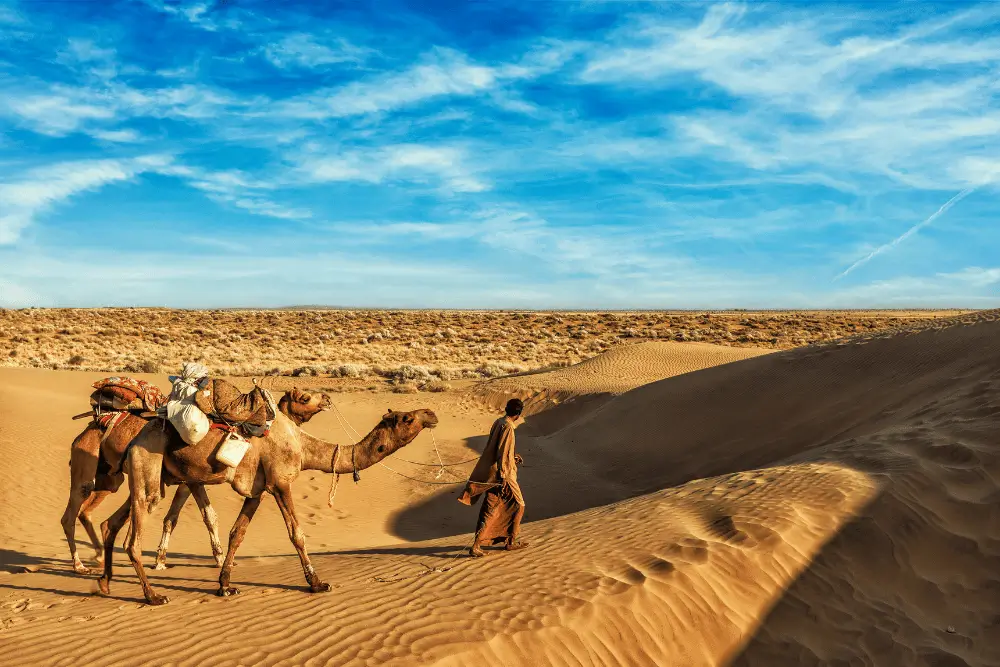 Desert Special Premium Tour - Best of Jodhpur & Jaisalmer