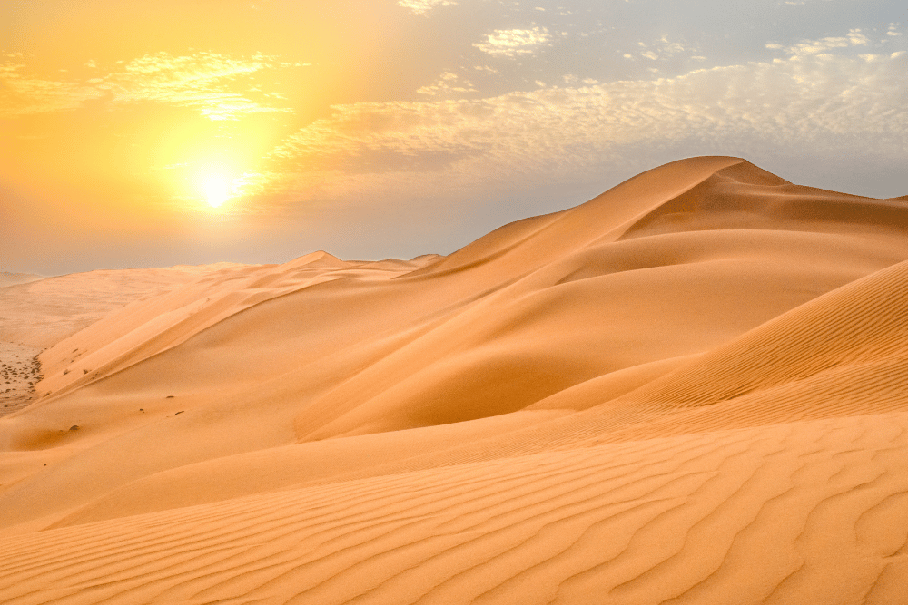 Desert Special Premium Tour - Best of Jodhpur & Jaisalmer